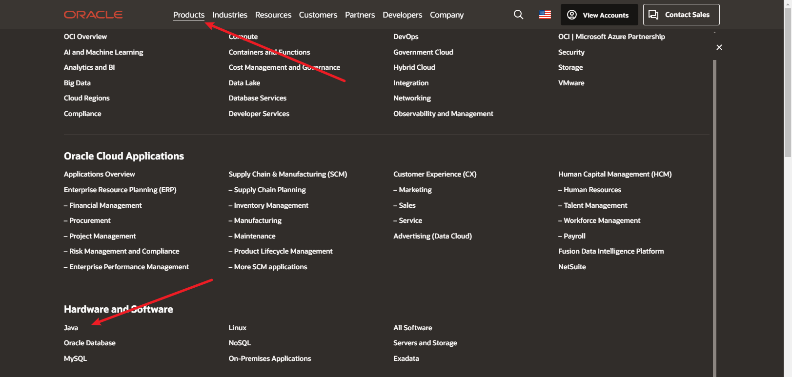 image-20240617213117119