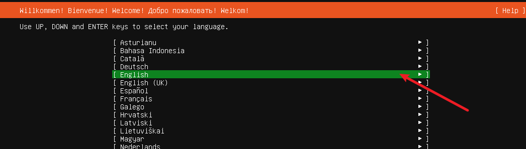 image-20240811145509727