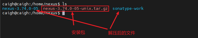 image-20241121211426432