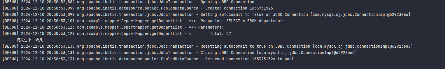 image-20241210203205471