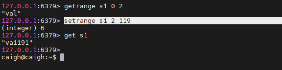 image-20241230195838572