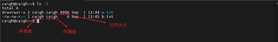 image-20250901223256313