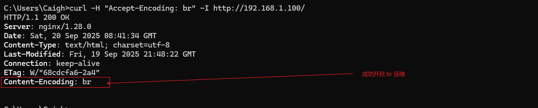 image-20250920164324465